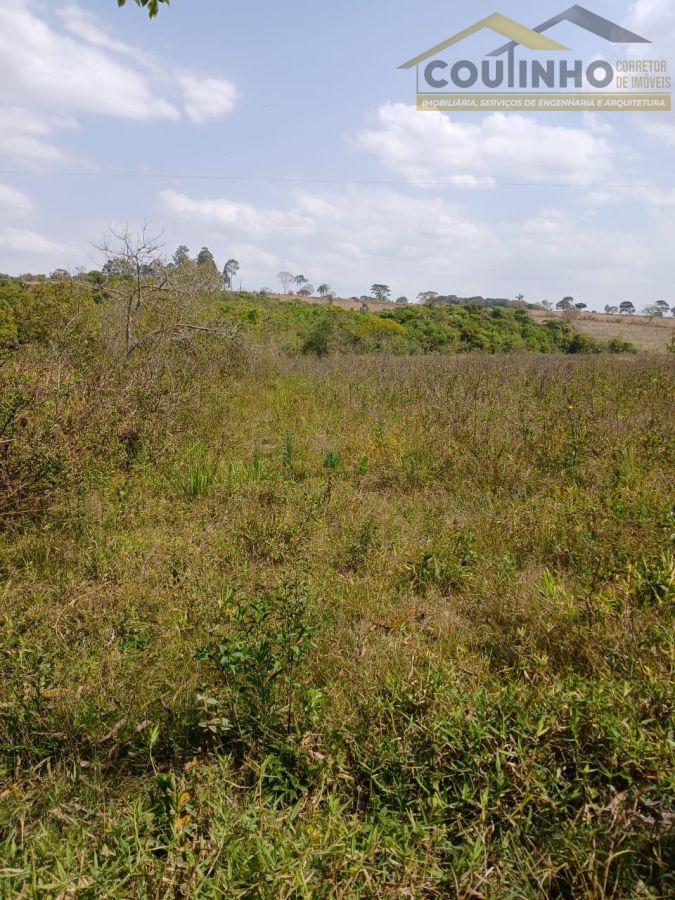 WhatsApp Image 2025-01-14 at 14.51.19.jpeg